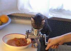image006.jpg