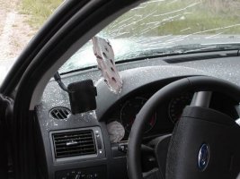 03_ford_61.jpg