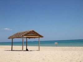 beach.JPG
