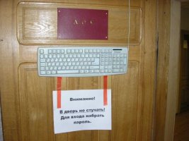 d9a3e6c8f390d64c64892f387cf3e787_full.jpg