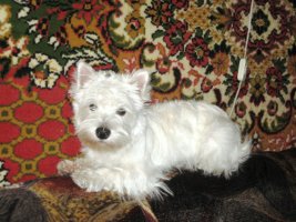 IMG_0569.JPG