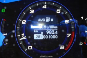 DSC02766.JPG