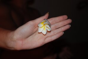 DSC_1416________________.JPG