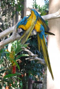 DSC_1551________________.JPG