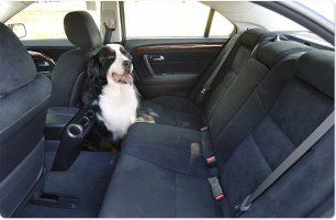 seat02_03p.jpg