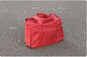 photo_carry02.jpg