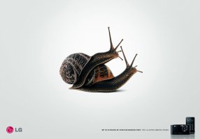 creative_ad_p3_015.jpg