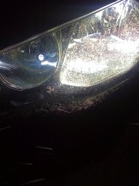 moto_0092_2.jpg