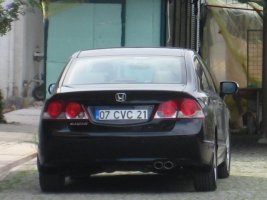 228.jpg