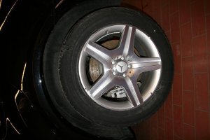 IMG_2916.jpg