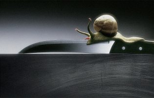 1182250006_bhr694xa1.jpg