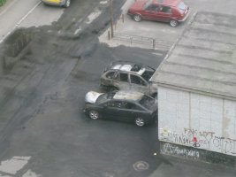 IMG_0378_2.jpg