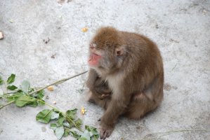 DSC_0072.jpg