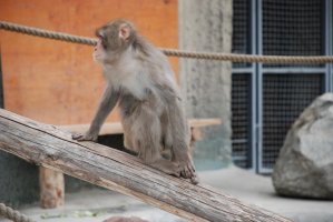 DSC_0074.jpg