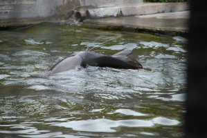 DSC_0130.jpg