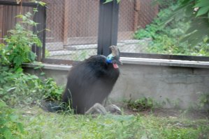 DSC_0177.jpg