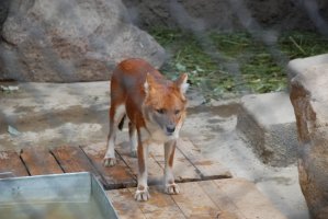 DSC_0204.jpg