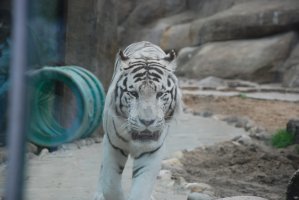 DSC_0246.jpg