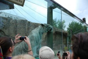 DSC_0256.jpg