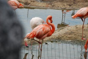 DSC_0294.jpg
