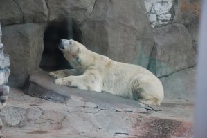 DSC_0353.jpg