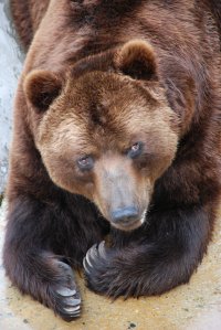 DSC_0417.jpg