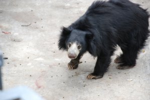 DSC_0468.jpg
