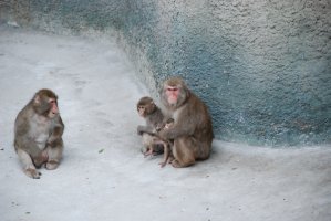 DSC_0555.jpg