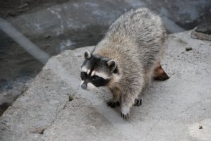 DSC_0015.jpg