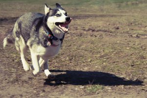 IMG_6998_1.jpg
