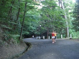 DSC03742.JPG