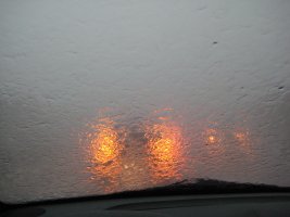 IMG_8050.JPG