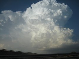 IMG_8069.JPG