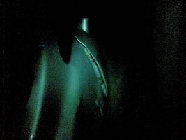 12112009(007).jpg