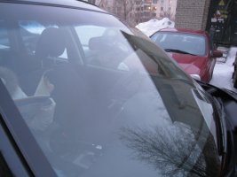 IMG_1866.jpg