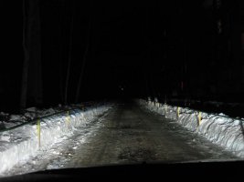 IMG_2203.jpg