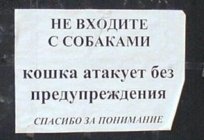 3465_92_254_ArtFile_ru.jpg