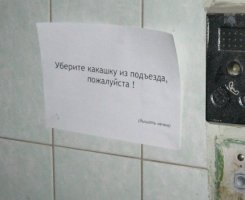 3470_92_928_ArtFile_ru.jpg