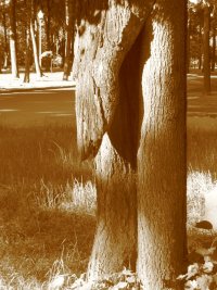 _____2007_020.jpg