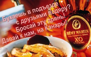 730007092c584225ed4e1c2060024fa9_full.jpg