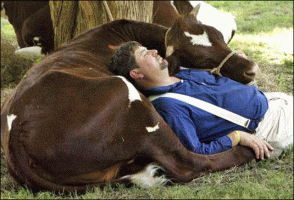 slide0012_image022.gif