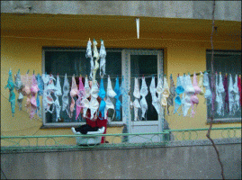 slide0016_image030.gif
