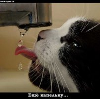 8358a70ae64cd7e9f25a314d0d1fb652.jpg