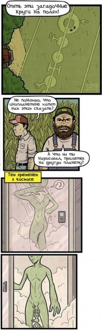 Круги на полях.JPG