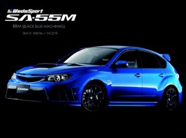 sti2.jpg