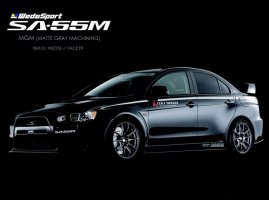 evo1j.jpg