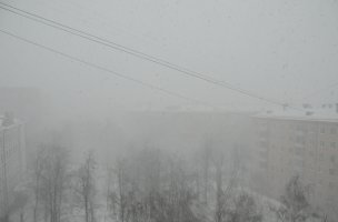 23032011.jpg