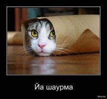 getImageCA12T3WZ.jpg