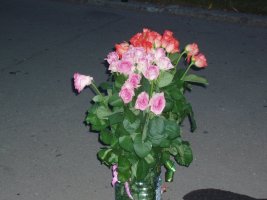 P8241738_resize.JPG