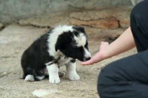 071_IMG_3003.jpg